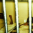 Stanford Prison Experiment, mené par Philip Zimbado à l'Université de Stanford en 1977, archives Zimbardo (prisonexp.org)