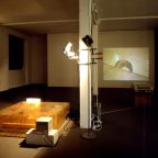 Bruce Naumann, Learned Helplessness for Rats, installation multimédia, 1988