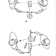 Dessin tiré de Smith & Kao (1971)