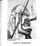 Manifeste de Hans Hollein, Alles ist Architektur (1967)