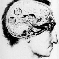 Bruno, Giuliana, « Film, Aesthetics, Science: Hugo Münsterberg’s Laboratory of Moving Images »