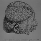 Du diagnostic en neurologie, émission médicale du 13 oct. 1966 – extrait