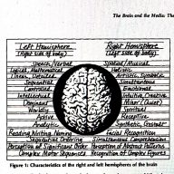 McLuhan, Marshal, The Brain and The Media: the Western Hemisphere, 1978